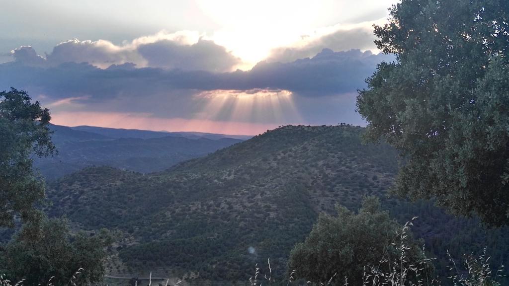 Casa Rural El Trillo Vendégház El Alcornocal Kültér fotó